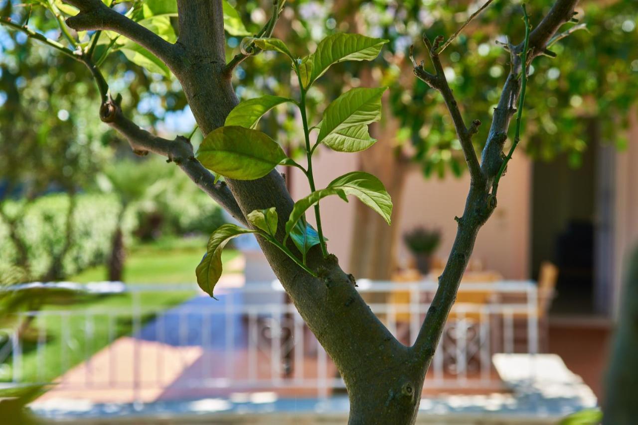 Villa Moma Palio Gerani Eksteriør bilde